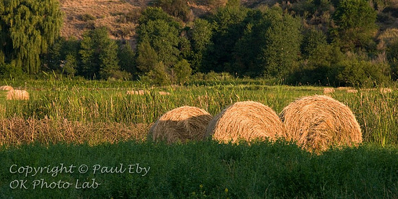 pano_12x24_3