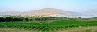 pano_12x36_7