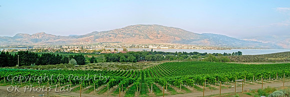 pano_12x36_7