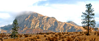 pano_12x24_5