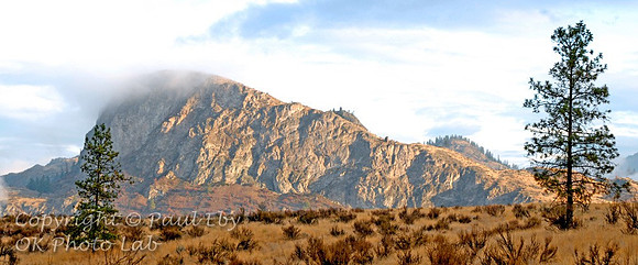 pano_12x24_5