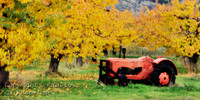 pano_12x24_9