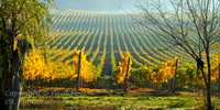 pano_12x24_7