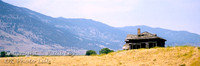 pano_12x36_5