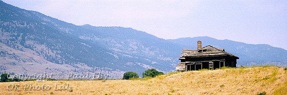 pano_12x36_5
