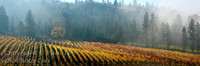 pano_12x36_24