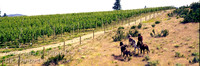 pano_12x36_6