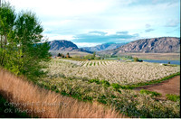 scenic_11 - 16x24 or 20x30 or 24x36
