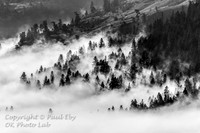 scenic_80 - 16x24 or 20x30 or 24x36