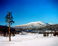 scenic_5 - 16x20 or 20x24 or 24x30