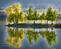 scenic_98 - 16x20 or 20x24 or 24x30