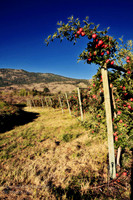 scenic_1 - 16x24 or 20x30 or 24x36