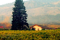 scenic_14 - 16x24 or 20x30