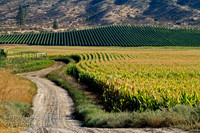 scenic_16 - 16x24 or 20x30 or 24x36