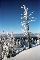 scenic_7 - 16x24 or 20x30