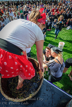Festival of the Grape