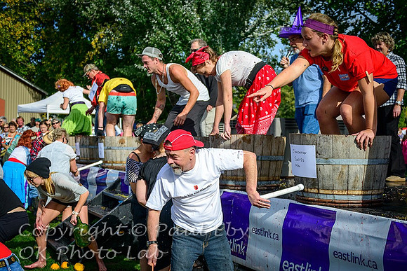 Festival of the Grape