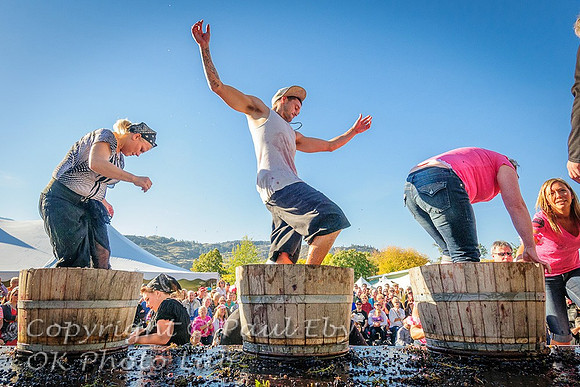Festival of the Grape